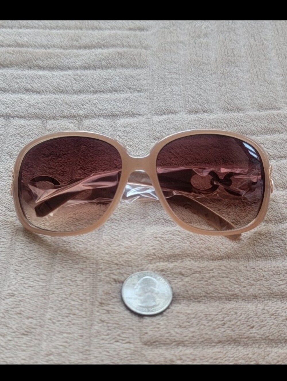 Nude Oversized Sunglasses With Gold Tone Hardware